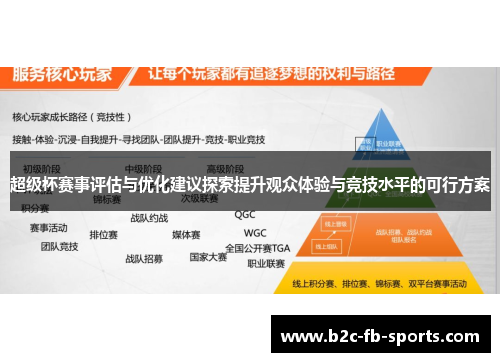 超级杯赛事评估与优化建议探索提升观众体验与竞技水平的可行方案