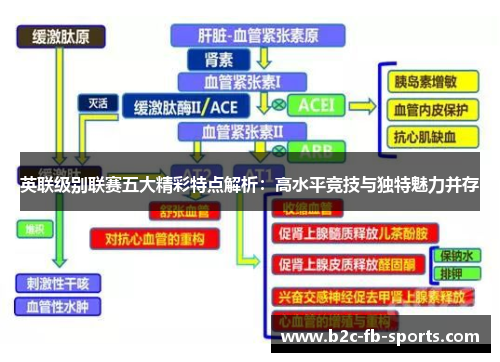 英联级别联赛五大精彩特点解析：高水平竞技与独特魅力并存